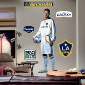 David Beckham Studio Wall Graphic