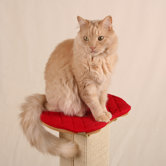 Ultimate Sisal Post Quilted Pad