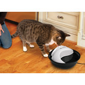 Plastic Drinking Fountain