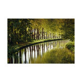 Tree Walk Canvas