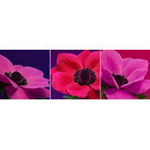 Jewel Florals Canvas (set of 3)