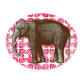 Bazaar Tray