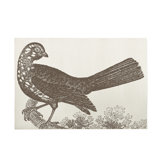 Ornithology Bath Mat