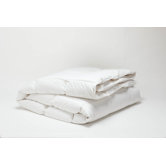 Winter Weight Down Duvet Fill