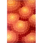 New Wave Orange Rug