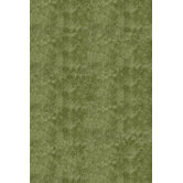 Luster Apple Green Rug