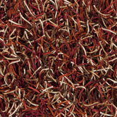 Roscoe Blond Rug
