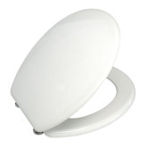 WC-Sitz "Vision"