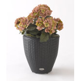 Vista Resin Wicker Round Planter with Curve