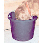 5 Gallon Rubber Heated Bucket in Black