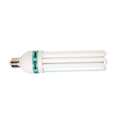 Compact Fluorescent Bulb