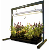 Jump Start Greenhouse
