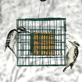 Hanging Suet Haven Feeder