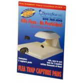 Flea Trap Capture Pads (Set of 3)