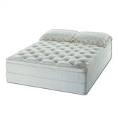 Marquis Water Mattress Set