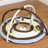 Zoo Buddies Playgym