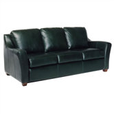Edwardo  Leather Sleeper Sofa