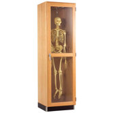 Hanging Skeleton Cabinet