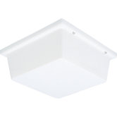 Hard-Nox Incandescent Ceiling or Wall Mount Outdoor Lantern with White Diffuser