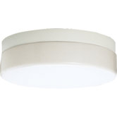 Acrylic Contoured Ceiling Cloud