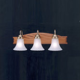 Oak Backplate Vanity Light in Polished Brass
