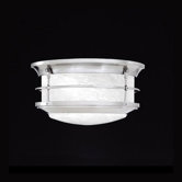 Newport  Outdoor Flush Mount in Brushed Nickel
