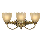 Isabella  Wall Sconce in Burnished Brass