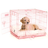ProValu Two-Door Dog Crate in Pink