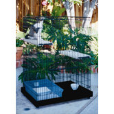48" Cat Condo Crate