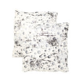 Oscar Frost Decorative Pillows (Set of 2)