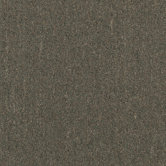Aladdin Voltage 24" x 24" Carpet Tile in Resources