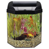 Eclipse Seamless Systems Hexagon Aquarium Kit in Black