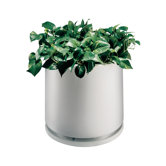 Planter with Water Dish