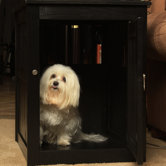 End Table Dog Crate