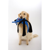 Sillypulls Dog Toy in Blue