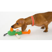 Cast of Characters� Duck Dog Toy in Green