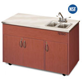 Silver Advantage Double Bowl Portable Sink