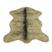 Animal Grizzly Bear Rug