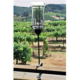 Champagne Bracket Torch (Set of 2)