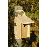 Western Blue Bird Bird House