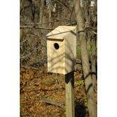 Owl House