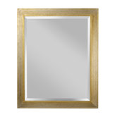 Darwin Mirror