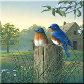 Tuftop Country Morning Bluebirds Trivet