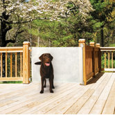 Retractable Gate in White