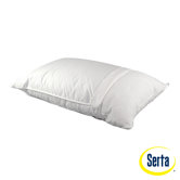Perfect Day Outlast Pillow and Nanotex Protector
