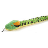 Snake Anaconda