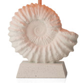 Ammonite Table Lamp Base in Stone
