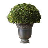 Preserved Polyresin Globe Planter