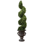 Preserved Boxwood Spiral Topiary Planter