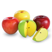 Magnetic Apple Fractions